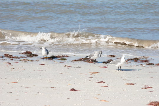 beach