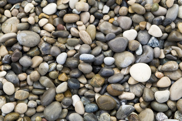 Pebble Background