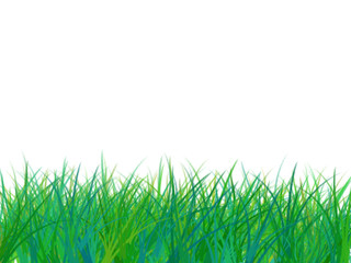 Obraz premium Green grass