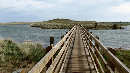 Fototapeta na wymiar wooden footbridge