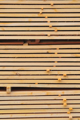 Stack of prepared wood