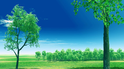 Obraz premium Spring scenery