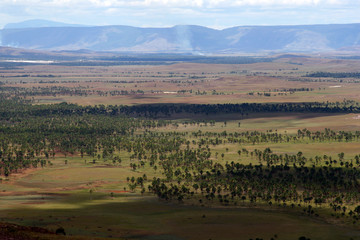 Valle con palmeras en Canaima