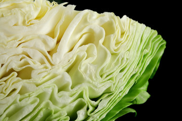 Fresh Cabbage