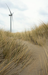 Fototapeta premium Windturbine
