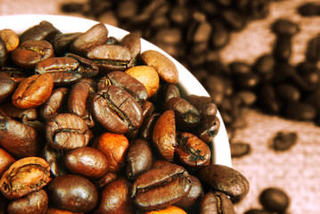 Fresh Roasted Coffee Beans