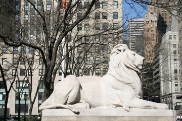 library,new,york,lion