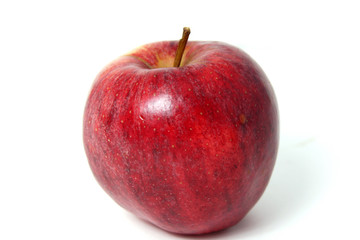 Pomme rouge sur fond blanc