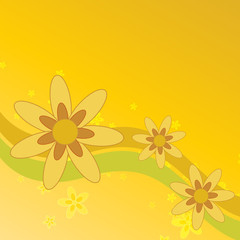 Fototapeta na wymiar Summer Flowers Background