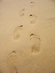 Fototapeta na wymiar ślady na piasku