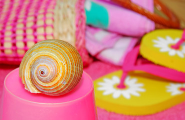 Seashell by Beach Accessories