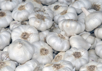 Knoblauch