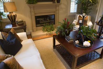 Cozy living room and fireplace.