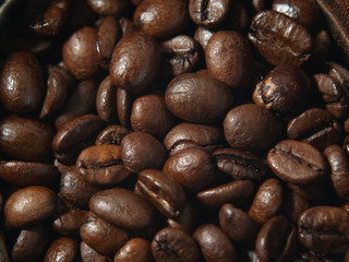 Naklejka premium Coffee Beans