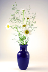 Vase with bouquet of chamomiles