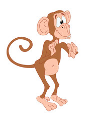 Standing_and_waiting_monkey