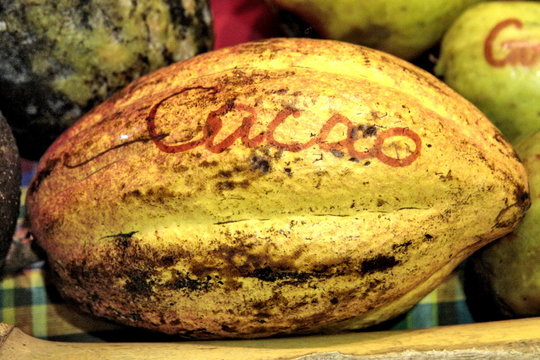 Le Cacao
