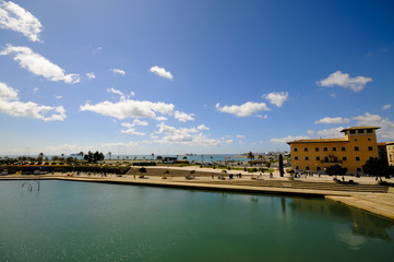 Naklejka premium Palma