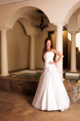 Fototapeta premium Beautiful young bride