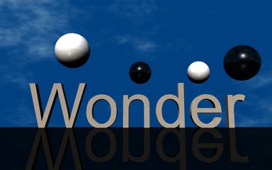 Logo Wonder