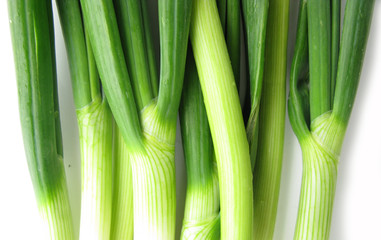Fototapeta premium Scallion green spring onion