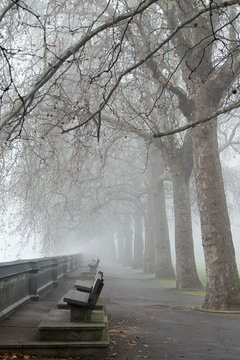 Londoner Park