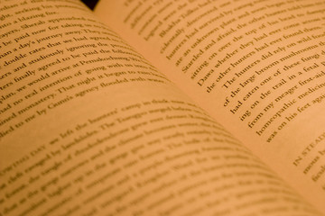an open novel