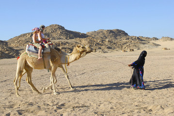 Bedouin woman leading two camels
