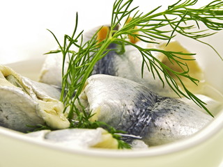 rollmops feinste fischdelikatessen aus deutschem hafen