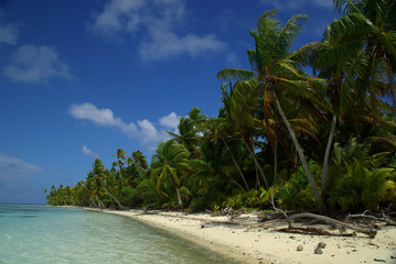 Plage de sable blanc a Tahiti