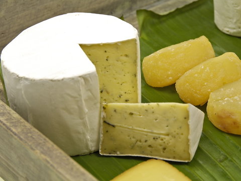 k&auml;se aus kuh, schaf und ziegenmilch