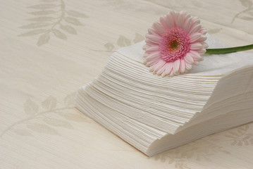pink gerber daisy and napkin papers