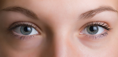 Obraz premium Close up