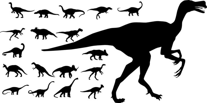 A collection of vector dinosaurs