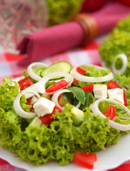 Vegetable Salad