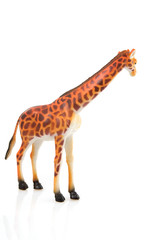 toy giraffe isolated on white