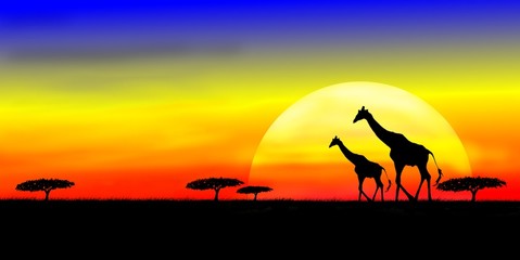 giraffe on background of the sun