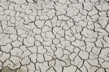 Cracks in dried mud