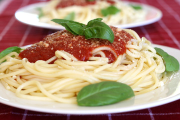 Pasta with Tomato Sauce and Basil