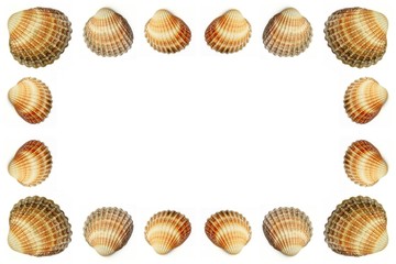 Empty frame made out of shells