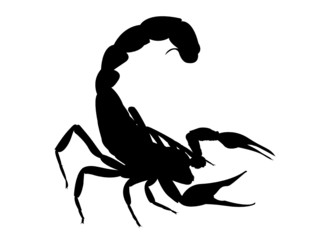 Scorpio