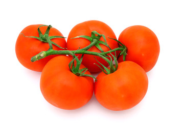 tomatoes
