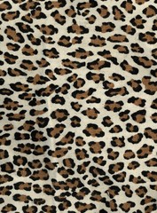 leopard spots and dots
