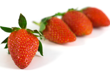 Four berries of wild strawberry