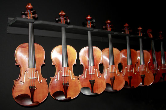 Violons