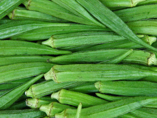  Okra /Ladyfingers