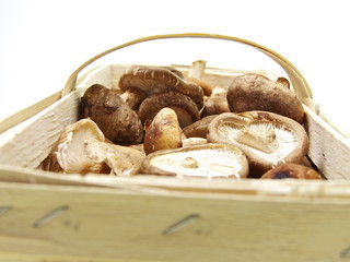 frischer kalorienarmer champignon