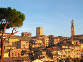 historical city of sienna during sunset