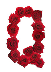 Alphabet series roses letter Q