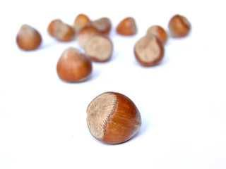 hazelnuts